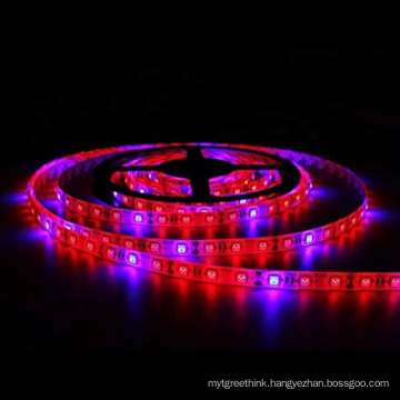 24 volt led grow strip light led strip hydroponic full spectrum led grow light